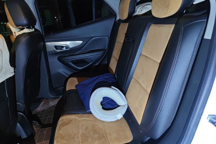 Used Buick Encore 2014 1.4T Automatic Two-Wheel Drive Urban Leading Model Left Rear Seat