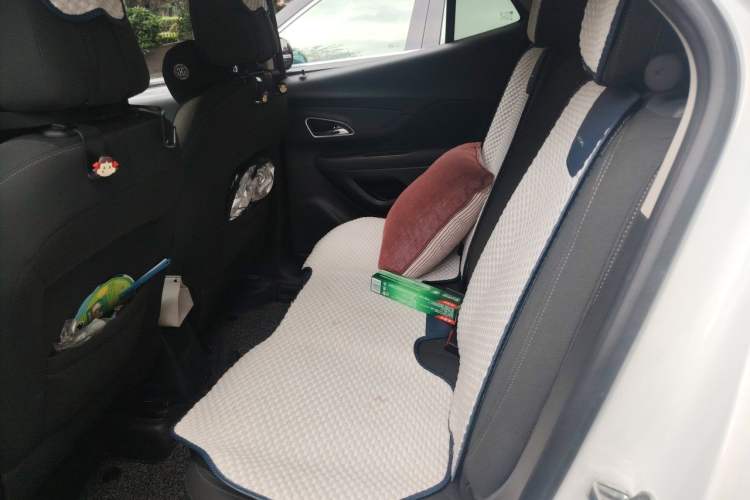 Used Buick Encore 2014 1.4T Automatic Two-Wheel Drive Urban Elite Model Left Rear Seat