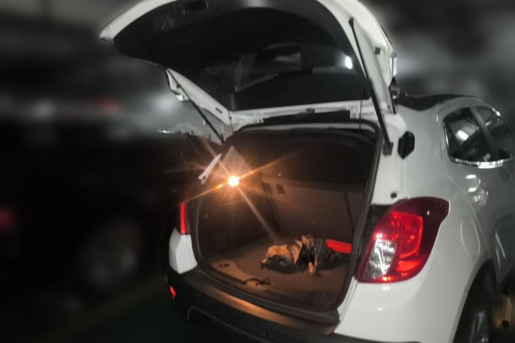 Used Buick Encore 2014 1.4T Automatic Two-Wheel Drive Urban Elite Model Trunk