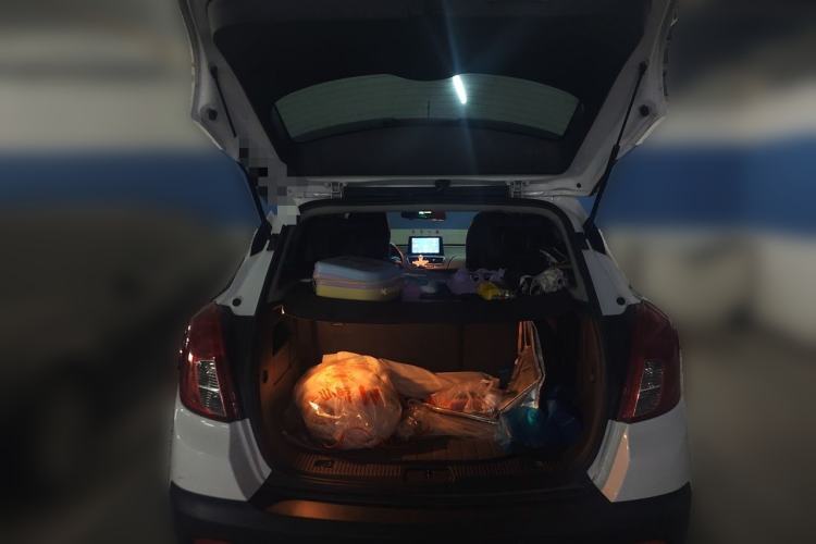 Used Buick Encore 2014 1.4T Automatic Two-Wheel Drive Urban Elite Model Trunk