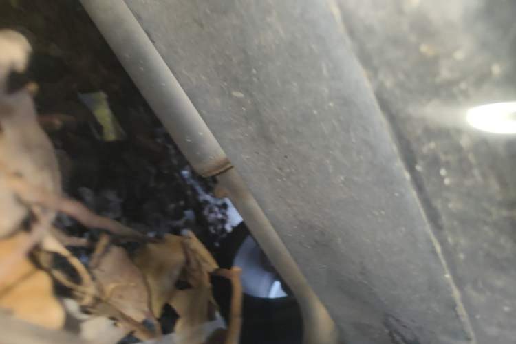 Used Buick Encore 2015 1.4T Automatic Two-Wheel Drive Urban Elite Version Chassis Rear Right