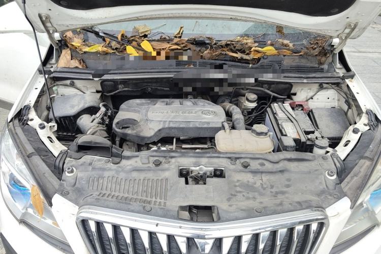 Used Buick Encore 2015 1.4T Automatic Two-Wheel Drive Urban Elite Version Engine Bay