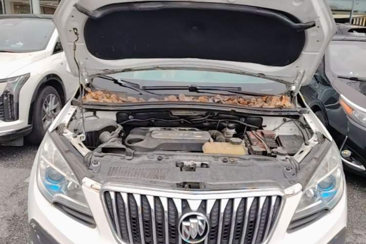 Used Buick Encore 2015 1.4T Automatic Two-Wheel Drive Urban Leading Model Engine Bay