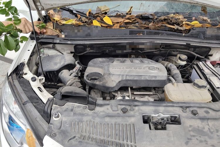 Used Buick Encore 2015 1.4T Automatic Two-Wheel Drive Urban Elite Version Engine Bay Right
