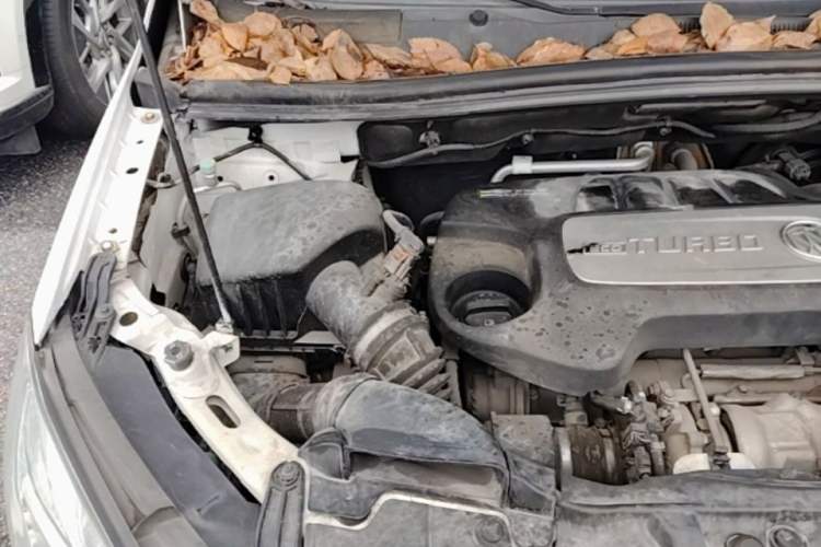 Used Buick Encore 2015 1.4T Automatic Two-Wheel Drive Urban Leading Model Engine Bay Right