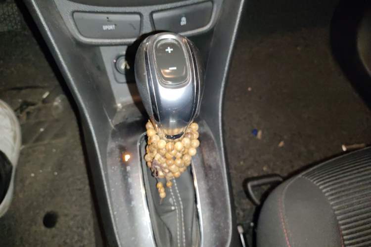Used Buick Encore 2015 1.4T Automatic Two-Wheel Drive Urban Elite Version Gear Lever