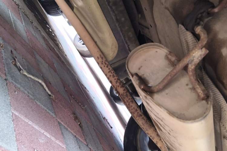 Used Buick Encore 2017 18T Automatic Two-Wheel Drive Urban Elite Model Chassis Rear Left