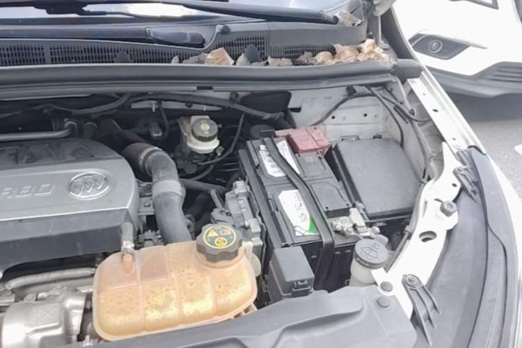 Used Buick Encore 2017 18T Automatic Two-Wheel Drive Urban Elite Model Engine Bay Left