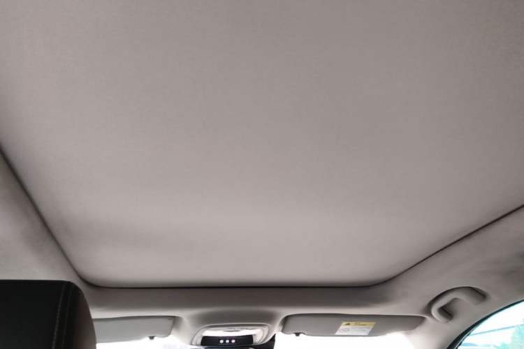 Used Buick Encore 2020 20T CVT Luxury Edition Headliner