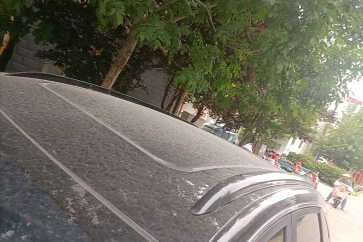 Used Buick Encore 2021 332T CVT Elite Edition Roof