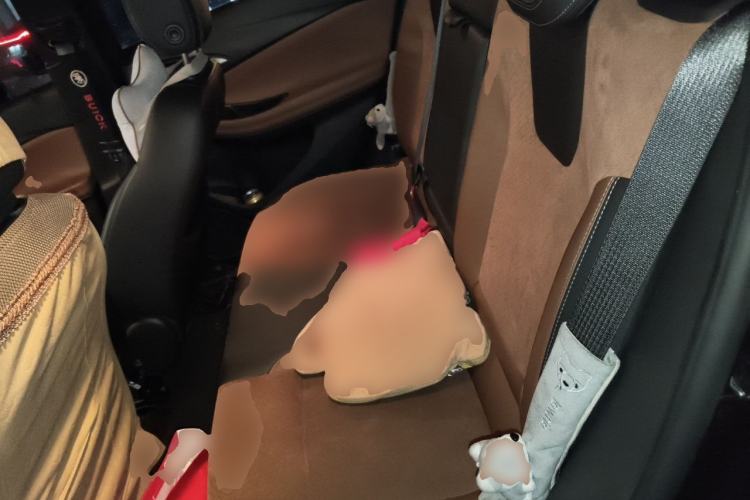 Used Buick Encore GX 2020 20T CVT Two-Wheel Drive Luxury Version Left Rear Seat