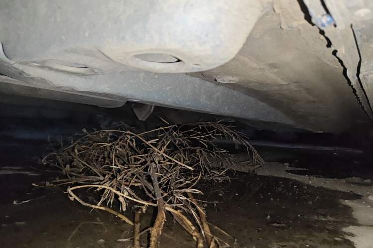 Used Buick Encore PLUS 2023 Smart Fun Edition Chassis Front Left