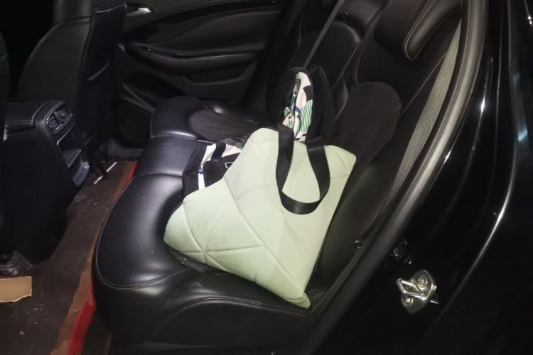 Used Buick Envision 2016 20T Two-Wheel Drive Leading Version Left Rear Seat