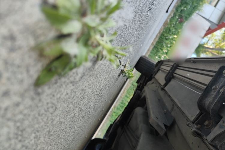 Used Buick Envision 2016 20T Two-Wheel-Drive Elite Model Chassis Rear Left