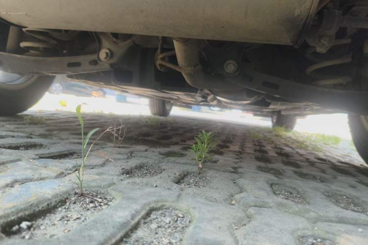 Used Buick Envision 2016 20T Two-Wheel Drive Leading Version Chassis Rear