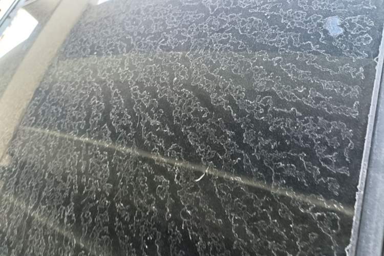 Used Buick Envision 2016 20T Two-Wheel-Drive Elite Model Roof