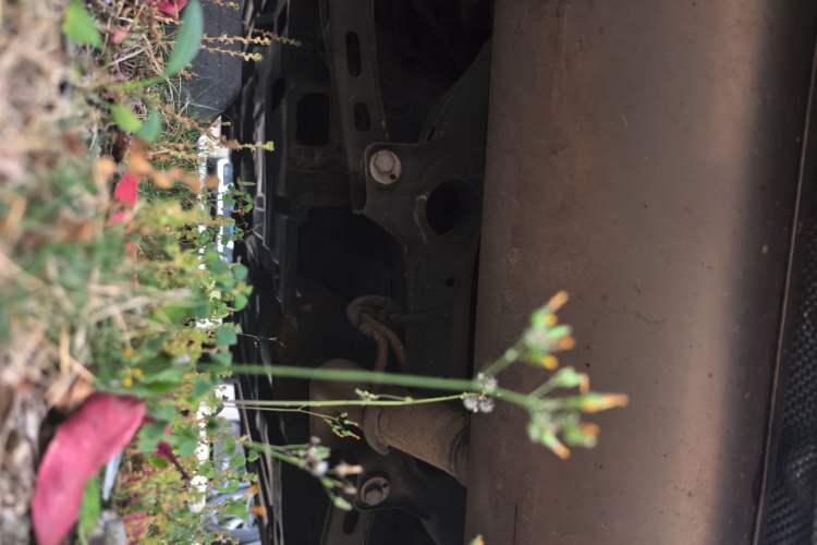 Used Buick Envision 2016 20T Two-Wheel Drive Leading Version Chassis Rear