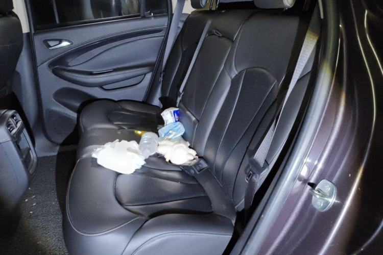 Used Buick Envision 2016 20T Two-Wheel Drive Leading Version Left Rear Seat