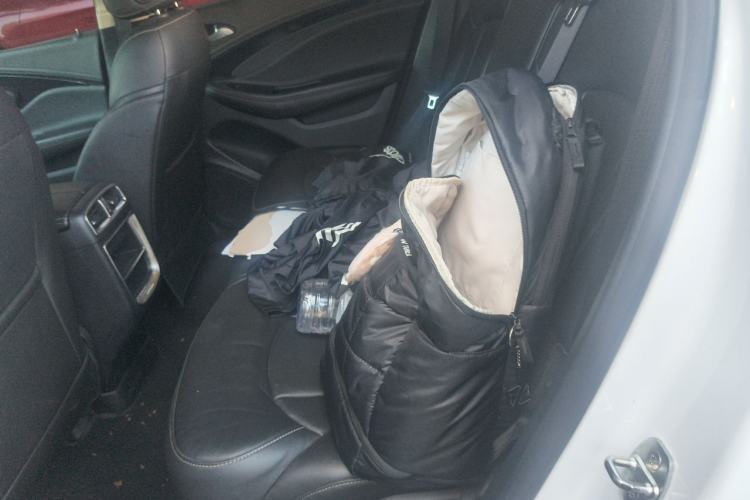 Used Buick Envision 2016 28T Four-Wheel Drive Elite Version Left Rear Seat