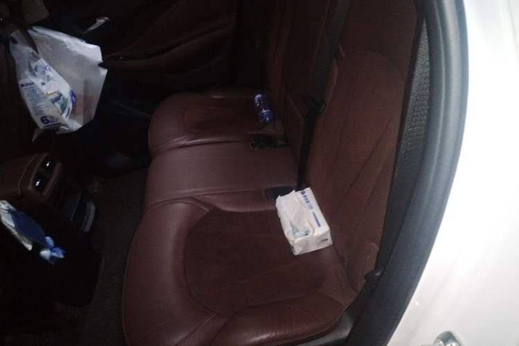 Used Buick Envision 2016 28T Four-Wheel Drive Elite Version Left Rear Seat