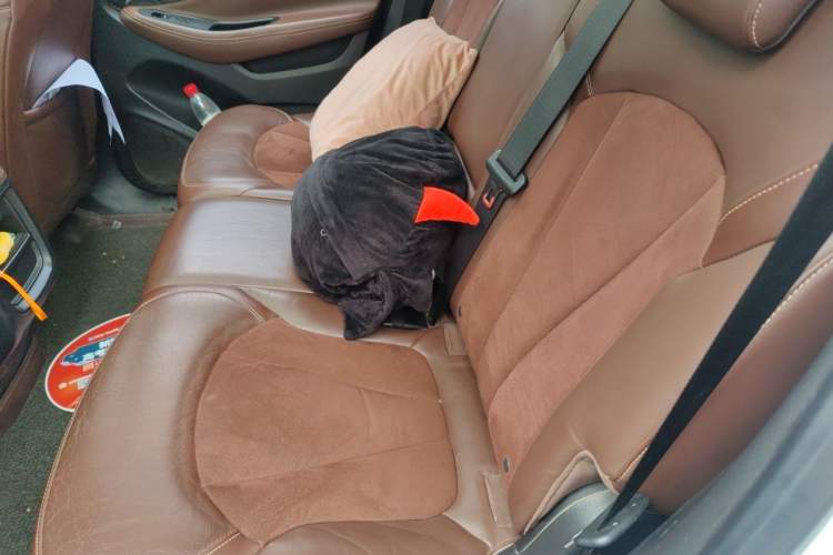 Used Buick Envision 2016 28T Four-Wheel Drive Elite Version Left Rear Seat