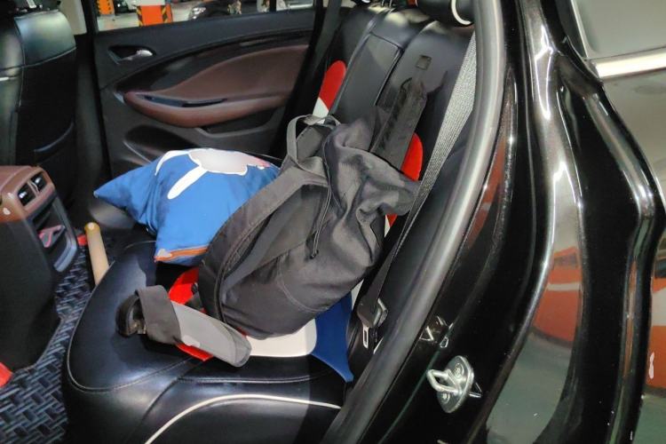 Used Buick Envision 2017 20T Two-Wheel Drive Elite Version Left Rear Seat
