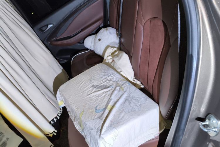 Used Buick Envision 2017 20T Two-Wheel Drive Elite Version Left Rear Seat