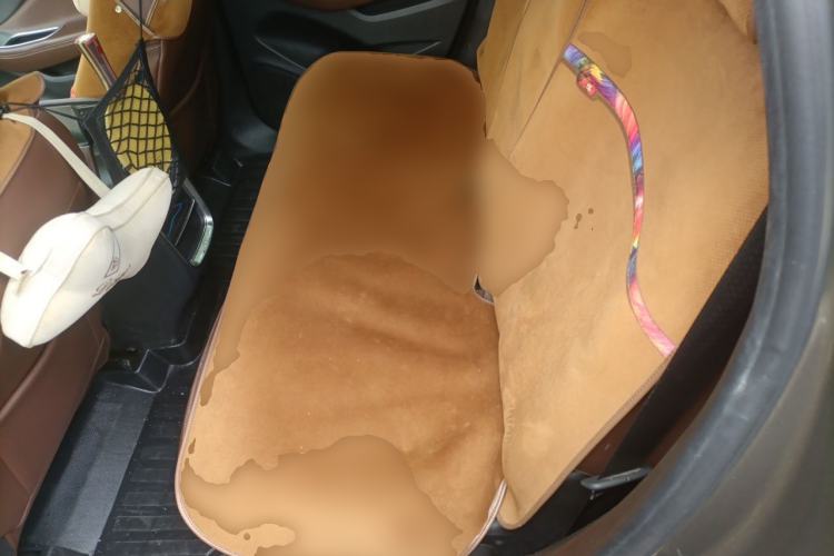 Used Buick Envision 2017 28T Four-Wheel Drive Elite Model Left Rear Seat