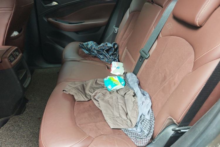 Used Buick Envision 2017 28T Four-Wheel Drive Elite Model Left Rear Seat
