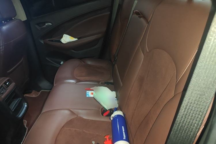 Used Buick Envision 2017 20T Two-Wheel Drive Elite Version Left Rear Seat