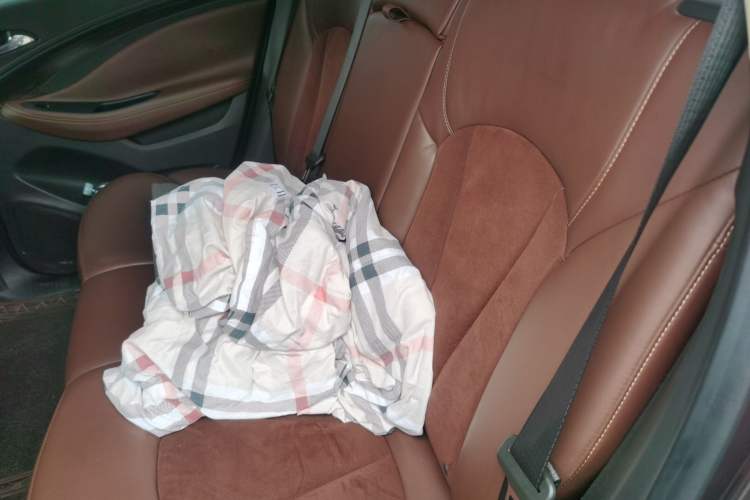 Used Buick Envision 2017 20T Two-Wheel Drive Elite Version Left Rear Seat