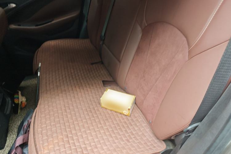 Used Buick Envision 2017 20T Two-Wheel Drive Elite Version Left Rear Seat