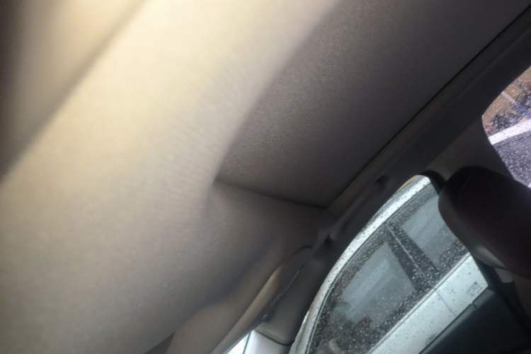 Used Buick Envision 2018 20T Two-Wheel Drive Luxury Model Headliner