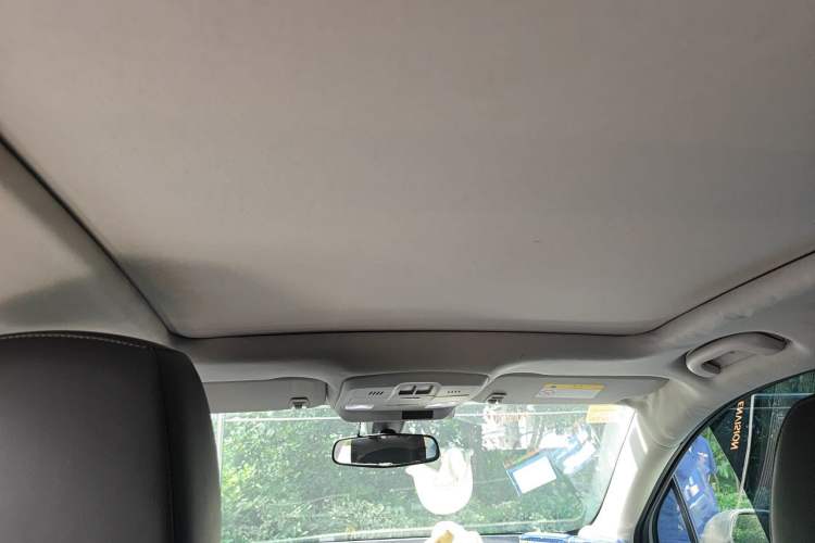 Used Buick Envision 2018 20T Two-Wheel-Drive Elite Model Headliner