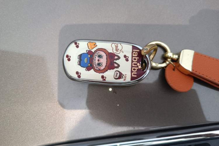 Used Buick Envision 2019 28T 4x4 Elite Version China V Standard Vehicle Key