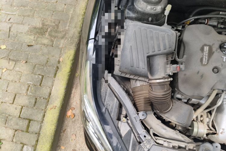 Used Buick Envision 2020 28T Four-Wheel Drive Elite Version Engine Bay Right