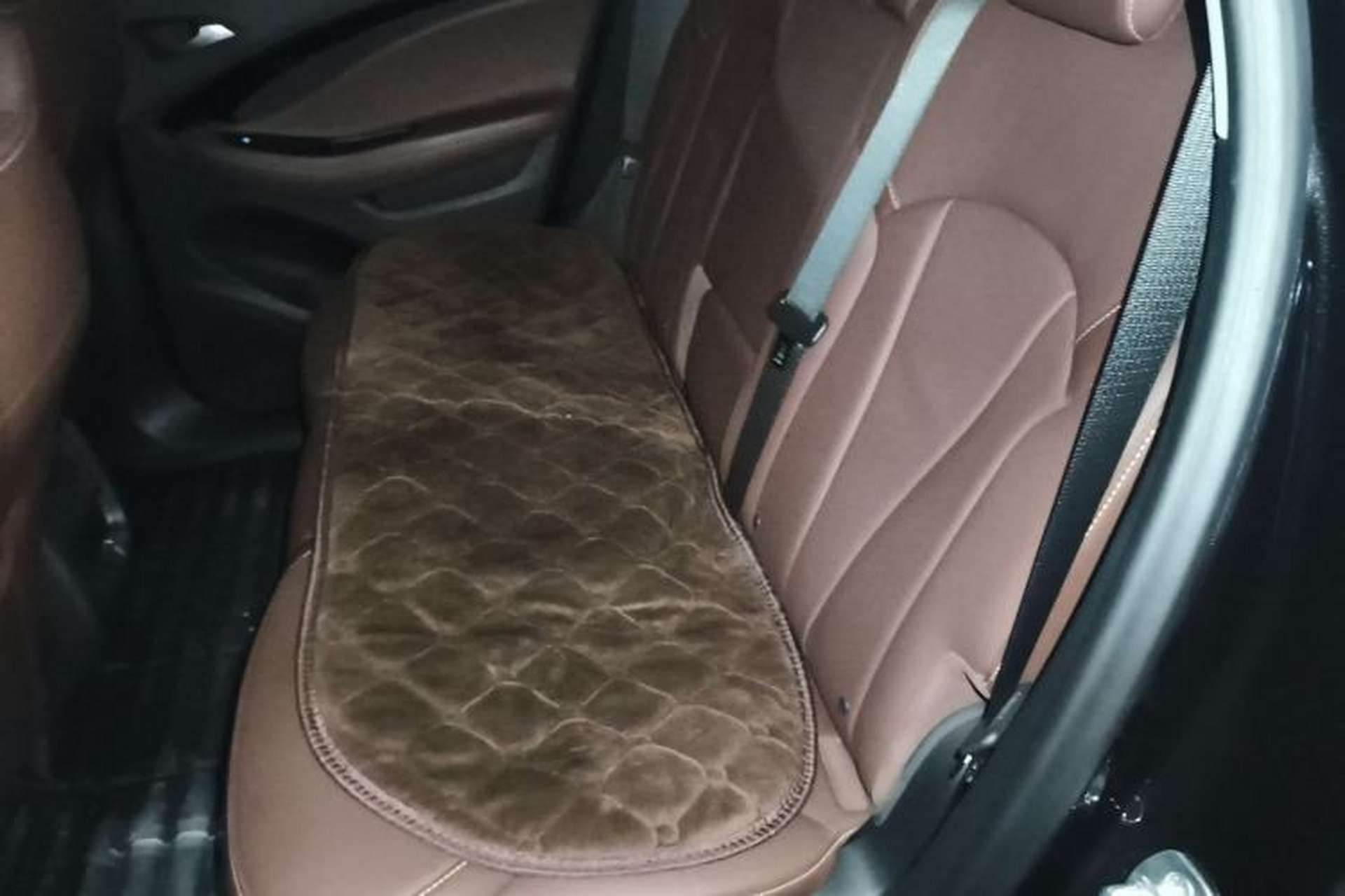 Used Buick Envision 2020 28T Four-Wheel Drive Elite Version Left Rear Seat