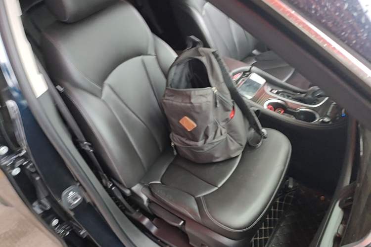 Used Buick Envision 2020 20T Two-Wheel Drive Elite Version Right Front Seat