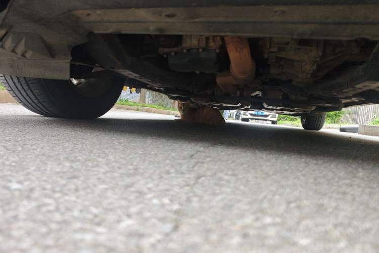 Used Buick Envision 2020 20T Two-Wheel Drive Leading Version Chassis Front