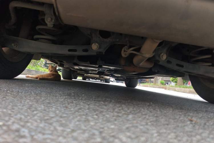 Used Buick Envision 2020 20T Two-Wheel Drive Leading Version Chassis Rear