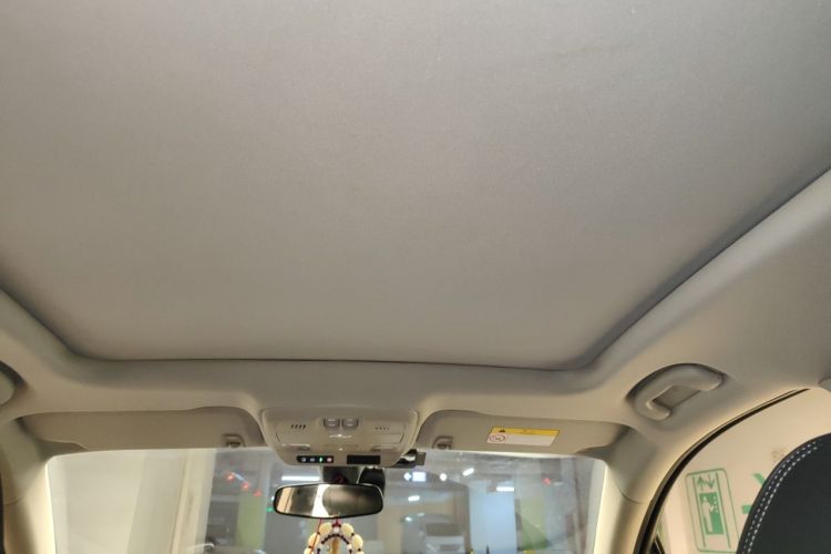 Used Buick Envision 2020 20T Two-Wheel Drive Leading Version Headliner