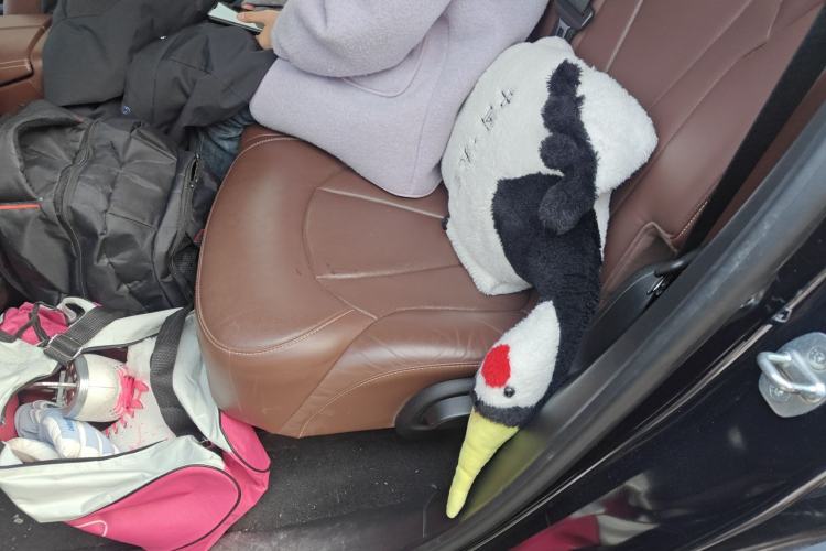 Used Buick Envision 2020 20T Two-Wheel Drive Luxury Model Left Rear Seat
