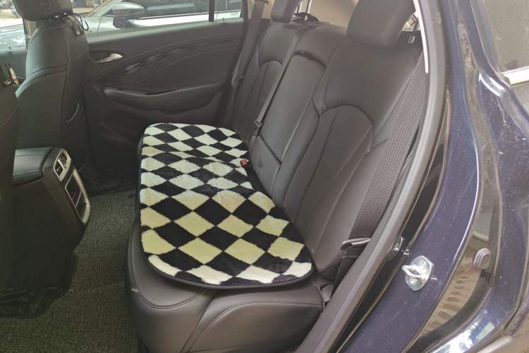 Used Buick Envision 2020 20T Two-Wheel Drive Elite Version Left Rear Seat