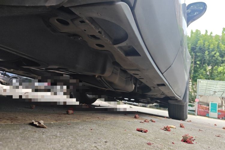 Used Buick Envision 2020 20T Two-Wheel Drive Luxury Model Chassis Rear Right