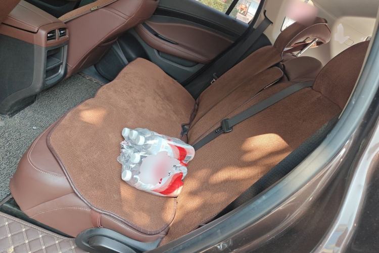 Used Buick Envision 2020 28T Four-Wheel Drive Elite Version Left Rear Seat
