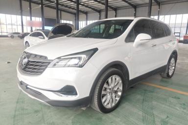 Used Buick Envision 2020 28T Four-Wheel Drive Elite Version