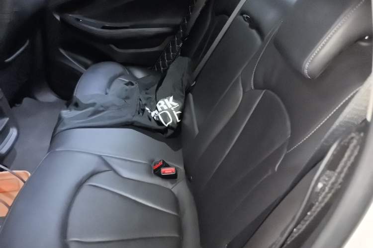 Used Buick Envision 2020 20T Two-Wheel Drive Elite Version Left Rear Seat