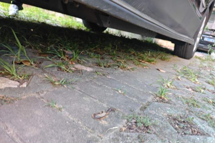 Used Buick Envision 2021 532T Two-Wheel-Drive Elite Version Chassis Front Left
