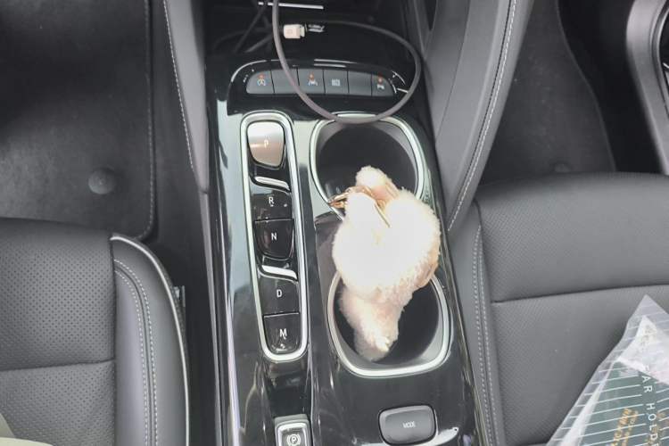 Used Buick Envision 2023 Encore Plus 652T Five-Seat Luxury Model Gear Lever