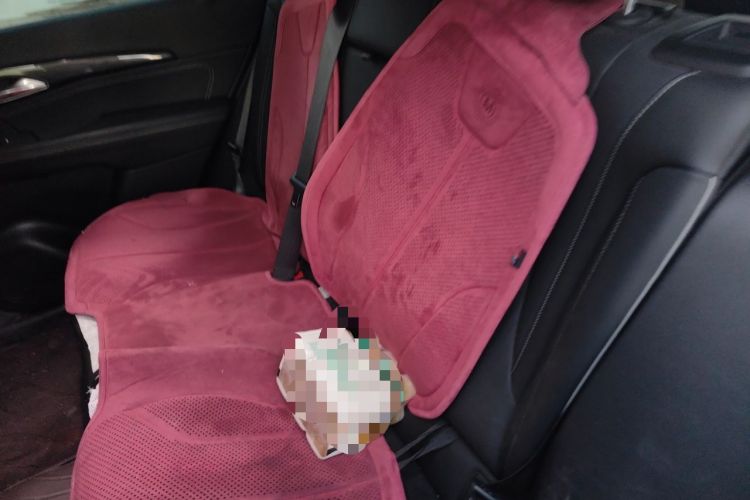 Used Buick Envision 2023 Encore Plus 652T Five-Seat Luxury Model Left Rear Seat